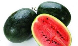 吃瓜网84ucn,带你领略网络舆论的狂欢世界