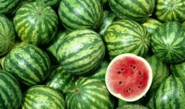 吃瓜吃多了的心酸,吃瓜吃多了的心酸历程