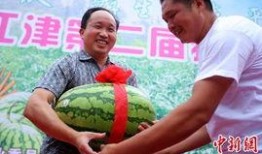 岚山吃瓜,夏日美食盛宴