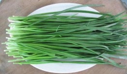 吃瓜不能吃韭菜嘛,为何韭菜不宜与瓜类同食