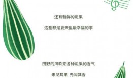 吃瓜必备手册,揭秘娱乐圈幕后真相与趣味故事