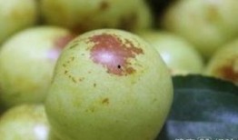 月经推迟可以吃哈密瓜吗