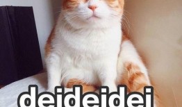 静静吃瓜是什么情感,揭秘网络时代的旁观者情感