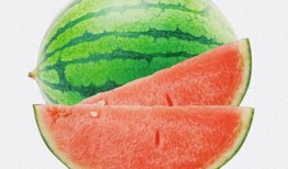 瞎吃瓜不吃菜,探寻网络流行语的奥秘与魅力