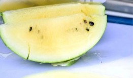 安儿吃瓜,揭秘娱乐圈那些不为人知的幕后故事