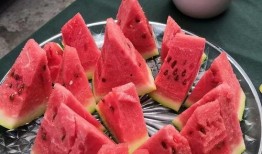 圆滚滚直播吃瓜,趣味横生揭秘娱乐圈幕后故事