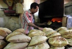 大饼哥吃沙漠瓜
