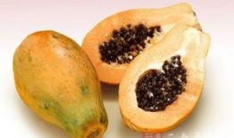 孕妇可以吃蜜露瓜吗