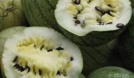 吃瓜为啥要吃有籽瓜,探寻吃瓜为何偏爱有籽瓜的奥秘