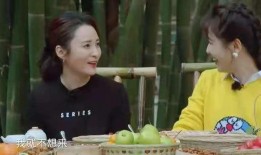 人吵架吃瓜视频,一场吃瓜视频引发的全民吵架风波