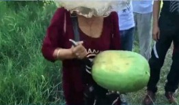 蒙古人吃瓜,蒙古人独特的饮食习惯