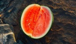 紫燕吃瓜,揭秘娱乐圈背后的秘密