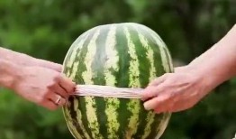 吃瓜速度很快,揭秘吃瓜达人如何一秒尝遍天下瓜