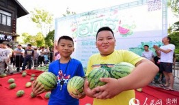 最新吃瓜节活动,揭秘娱乐圈最新热点与幕后故事