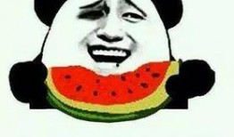 新兴吃瓜事件,新兴吃瓜事件背后的真相与反思