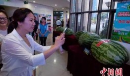 广宗吃瓜新闻事件,一场引发热议的社区事件揭秘