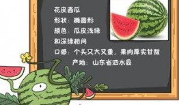 我们的吃瓜历史,从围观到深度参与