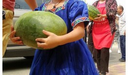 蒙古人吃瓜,蒙古人独特的饮食习惯