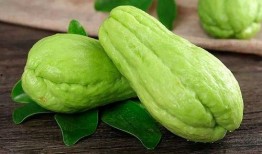 桉桉吃瓜,揭秘娱乐圈的甜蜜与苦涩