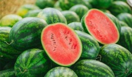 吃瓜2号,揭秘娱乐圈背后的秘密与真相