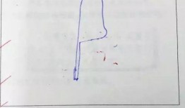 写试卷吃瓜,揭秘考试背后的趣味与智慧