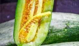 吃瓜最新网红,揭秘吃瓜网红的爆红之路