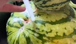 吃瓜搞笑声音,揭秘那些让人捧腹大笑的搞笑声音