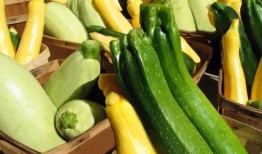 吃瓜qr,揭秘吃瓜群众背后的趣味与真相