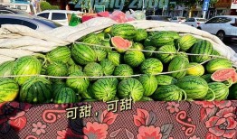 郑州吃瓜传媒可靠吗,郑州吃瓜传媒的可靠性揭秘