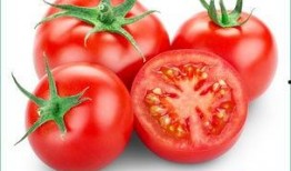 番茄吃瓜十八小说,十八小说中的异世界之旅